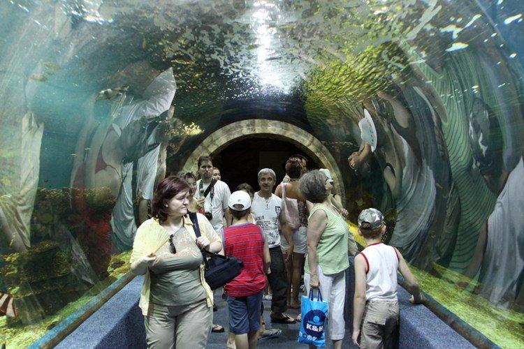 Ньиредьхаза - зоопарк 