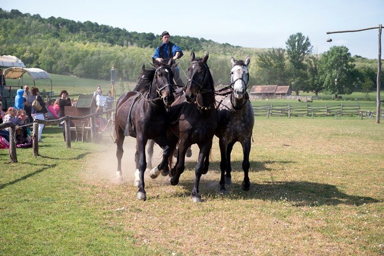 Венгерский хутор