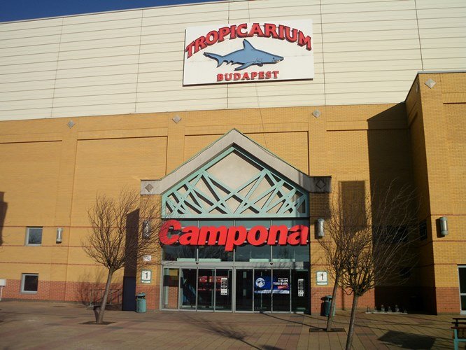 Торговый центр и тропикариум