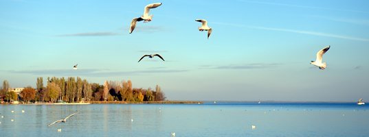 Индивидуальные трансферы на озеро Балатон